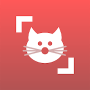 Download Cat Scanner