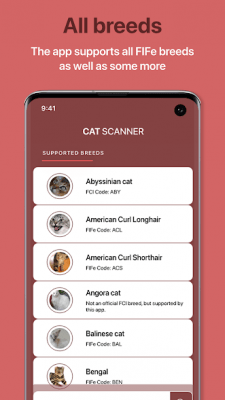 Screenshot of the application Cat Scanner - #7