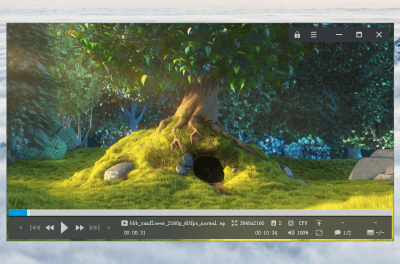 Screenshot of the application MPV-EASY Player - #2