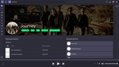 Screenshot of the application Nuclear Music Player - #3