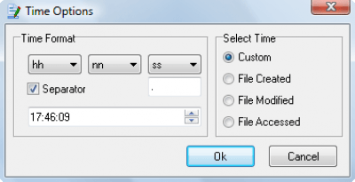 Screenshot of the application MIKLSOFT Professional Renamer - #6
