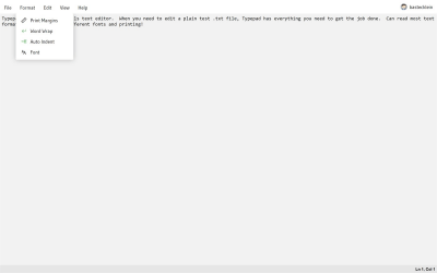Screenshot of the application Typepad for Windows - #2