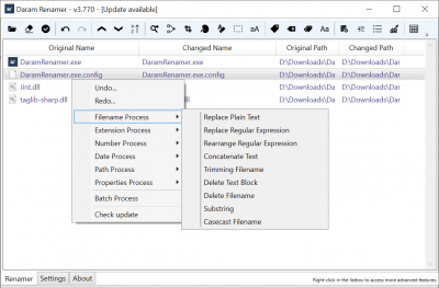 Screenshot of the application Daram Renamer - #3