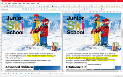 Screenshot of the application FlexiPDF Pro - #2