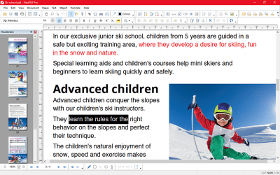 Screenshot of the application FlexiPDF Pro - #3