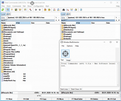 Screenshot of the application WindowTextExtractor - #2