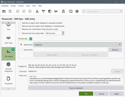 Screenshot of the application KeePassXC - #12