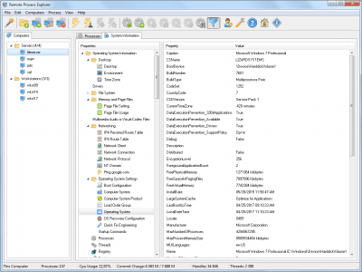 Screenshot of the application LizardSystems Remote Process Explorer - #12