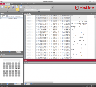 Screenshot of the application FileInsight - #5