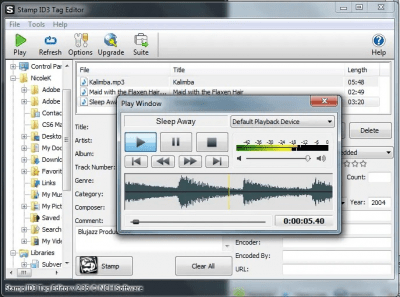 Screenshot of the application Stamp ID3 Tag Editor - #2