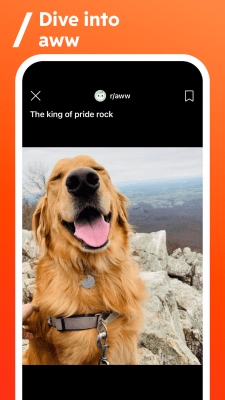 Screenshot of the application Reddit - #4