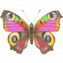 Download EasyWord