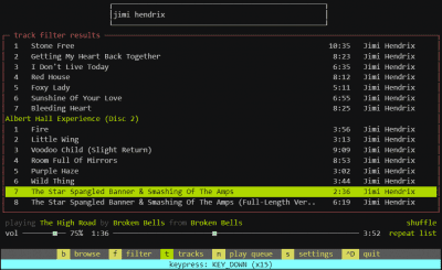 Screenshot of the application musikcube - #10