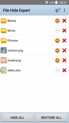 Screenshot of the application File Hide Expert - #4