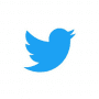 Download Twitter Lite