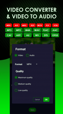 Screenshot of the application Audio Converter - #3