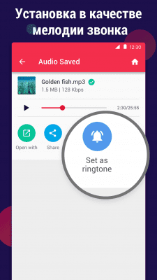 Screenshot of the application Video to MP3 Converter - #7