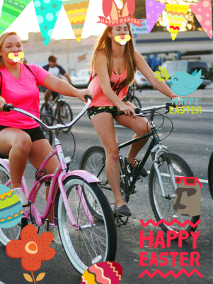 Screenshot of the application Eggcellent-Photo Grid Plugin - #2