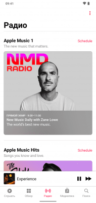 Screenshot of the application Apple Music - #5