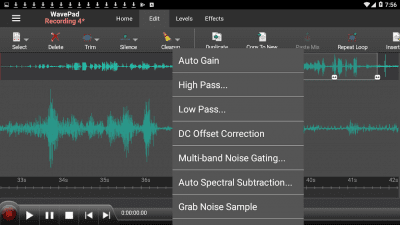 Screenshot of the application WavePad Audio Editor Free - #4
