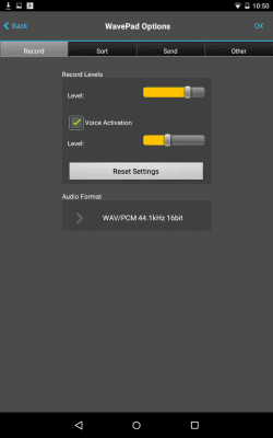 Screenshot of the application WavePad Audio Editor Free - #15