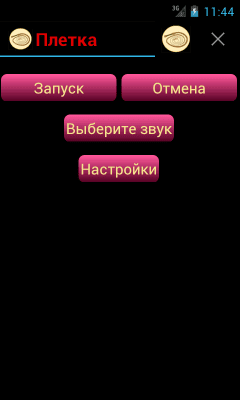 Screenshot of the application The whip - #2