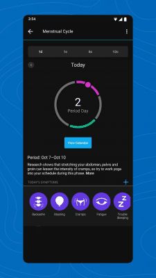 Screenshot of the application Garmin Connect - #4