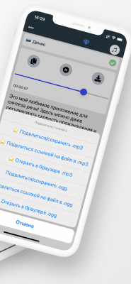 Screenshot of the application BigVoicy - #2