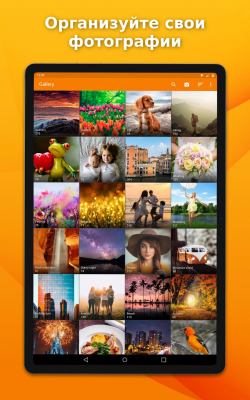 Screenshot of the application A simple gallery - #5