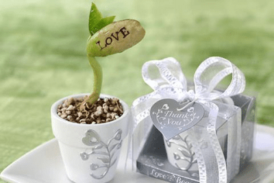 Screenshot of the application Wedding Favor Ideas - #2