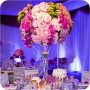 Download Wedding Centerpiece Ideas