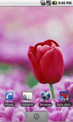 Screenshot of the application Tulip Wallpapers - #4