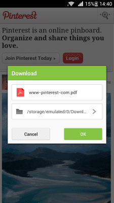 Screenshot of the application PDF for Next Browser - #2