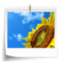 Download Organizer