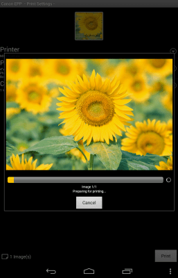 Screenshot of the application Canon Easy-PhotoPrint - #8