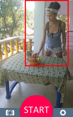 Screenshot of the application Motion Detector - #2