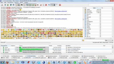 Screenshot of the application EiskaltDC++ - #13