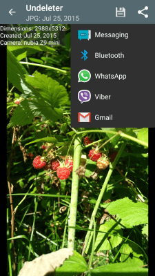 Screenshot of the application Undeleter - Restore Files - #4