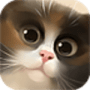 Download Cat in the Box Lite