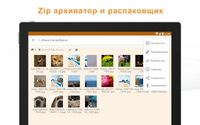 Screenshot of the application ASTRO File Manager - #6
