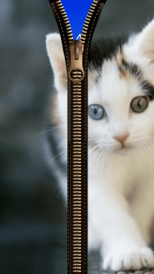 Screenshot of the application Cat Zipper Screen Lock - #2