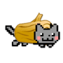 Download Loggy (root)