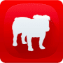 Download BullGuard Internet Security