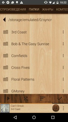 Screenshot of the application Rocket Player Wood theme - #4