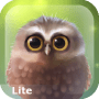 Download Little Owl Lite