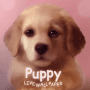 Download Puppy Lite