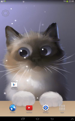 Screenshot of the application Peper Kitten - #7