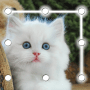 Download Cat Pattern Screen Lock