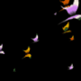 Download Tropical Butterflies Live Wall