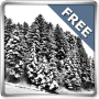 Download Snowfall 360° Free
